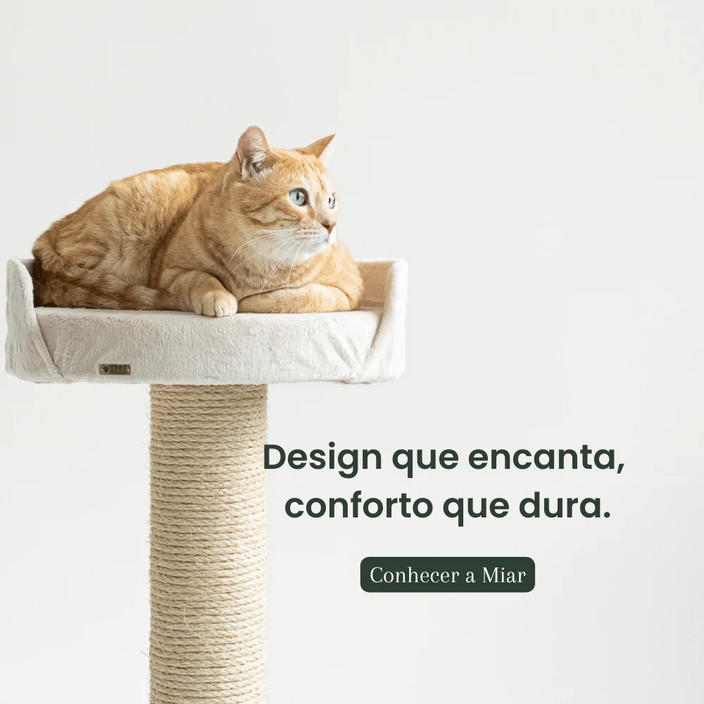 arranhador para gato banner