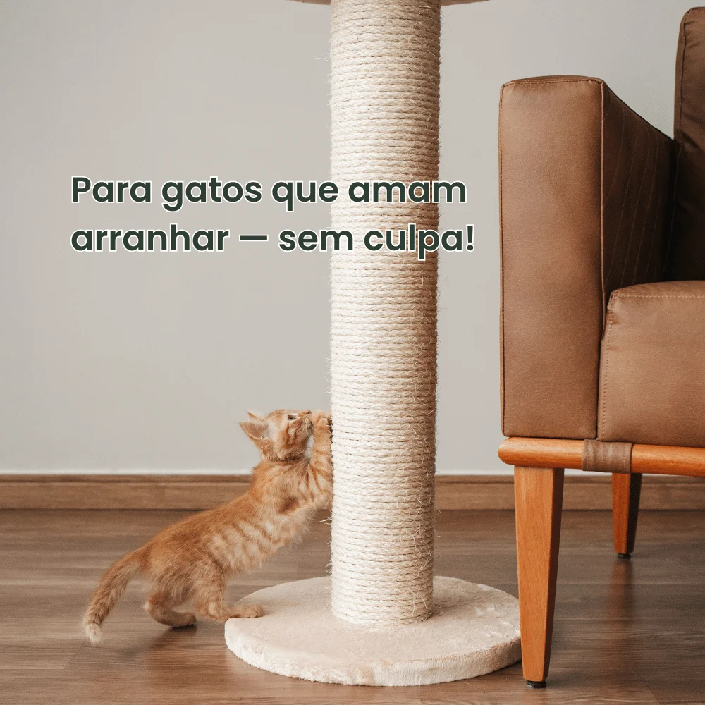 texto do seu paragrafo